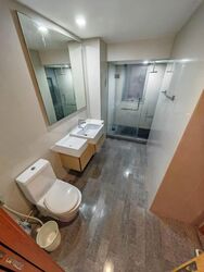 8 @ Mount Sophia (D9), Condominium #566423511